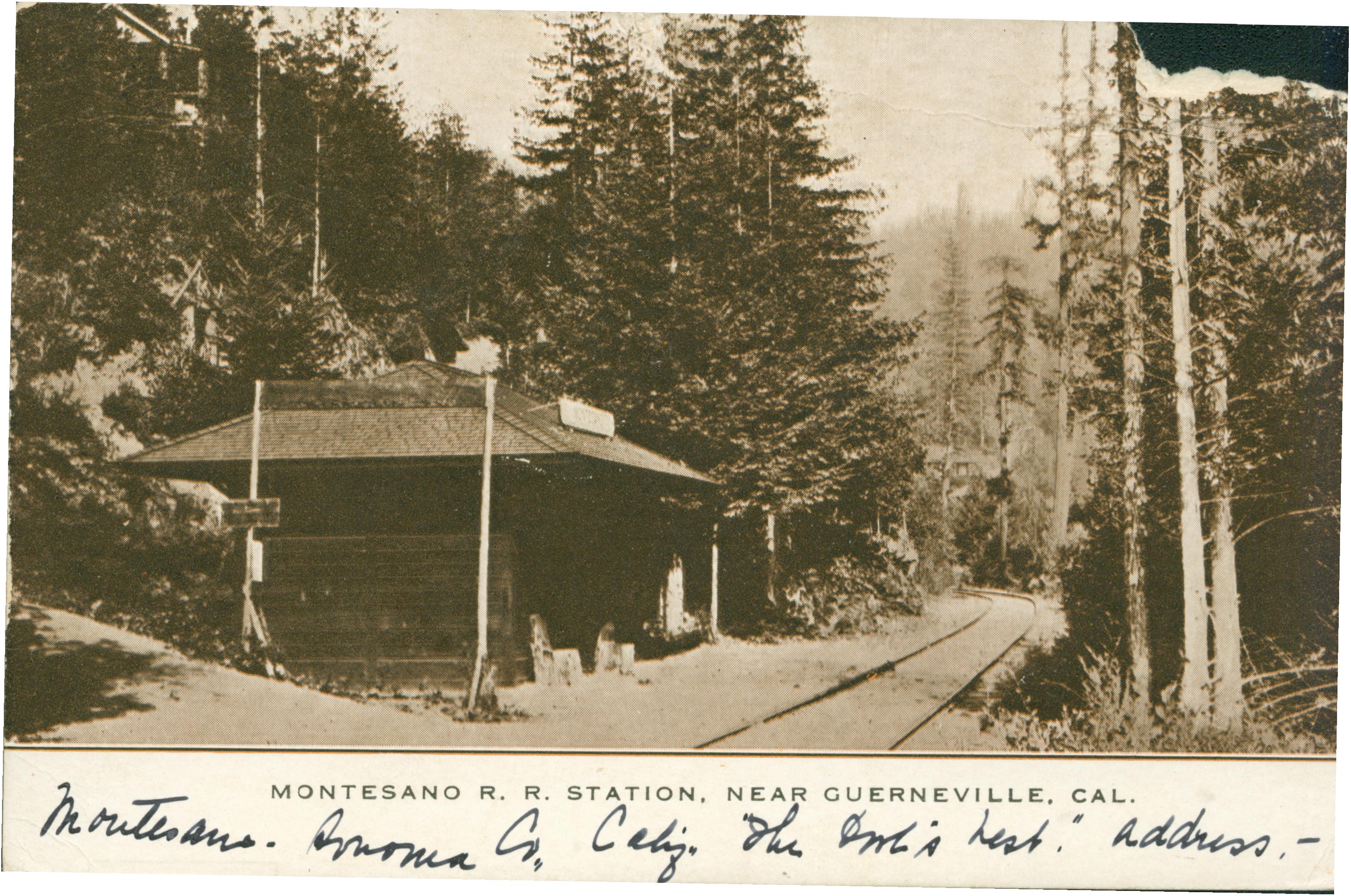 Shows a railroad depot by railroad tracks winding through the trees.